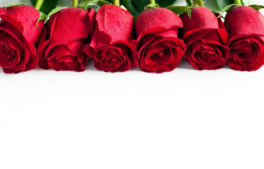 797057 (a): :2560x1635